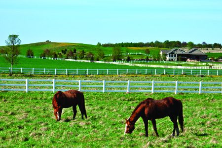 Horse Ranches Land And Equestrian Farms For Sale Horse Property