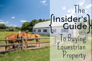 insiders-guide-horses