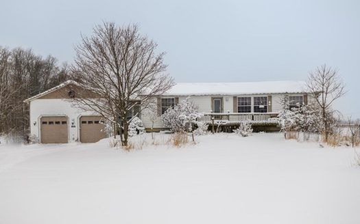 Paw Paw horse farm with 6 bedroom house for sale